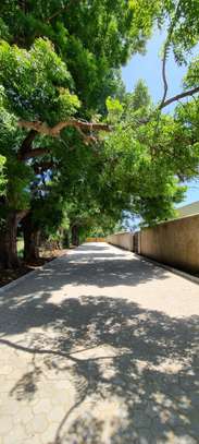 1,000 ft² Land at Kuruwitu image 2