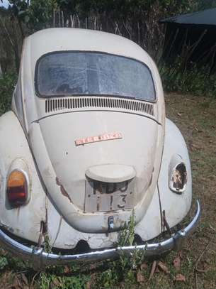 Volkswagen beetle image 4