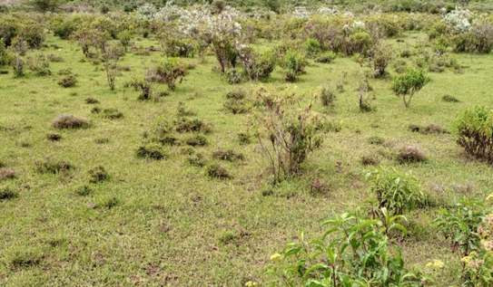 2 Acres Available for Quick Sale at Gilgil image 3