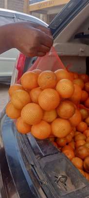 Pixie oranges image 3