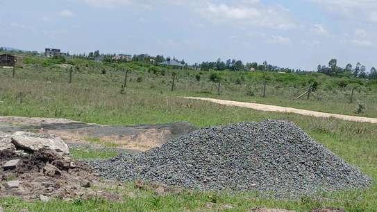 Gem court gardens  joska komarock image 2