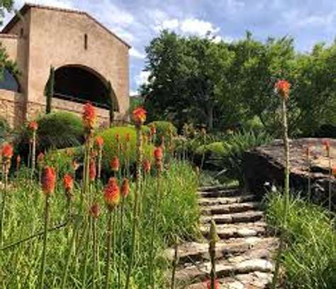 Bestcare Landscaping & Gardening Services in Nakuru,Kenya image 3