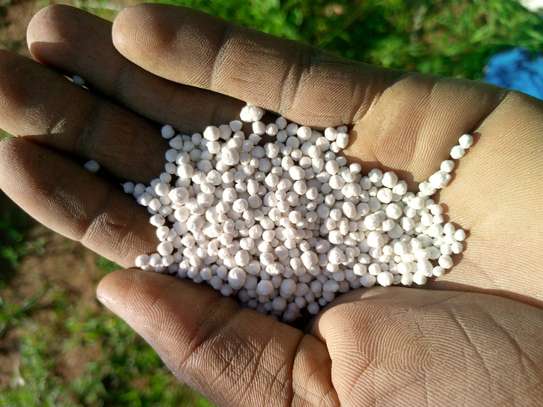 Homed Lime Co. Agricultural Lime Fine Powder Kenya image 2