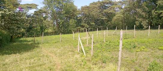 Prime Land in Kahara/Matasia image 6