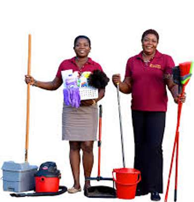 BEST CLEANING SERVICES,FUMIGATION & PEST CONTROL THIKA image 11