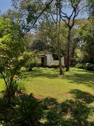 2 Bed House with Garden at Hardy Area image 8