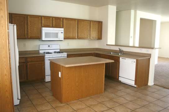 Nakuru Plumbing, Electrical,Painting & Domestic workers image 7