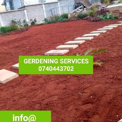 Landscaping design installation image 4