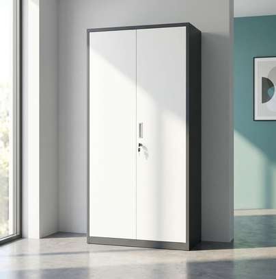 Cabinets : Full Door Office Storage Cabinet image 9