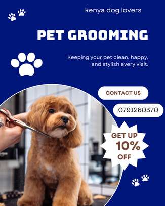 Pets services image 2