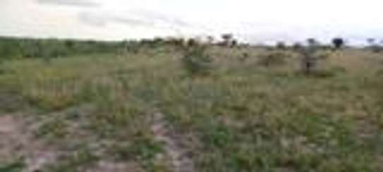 Prime 50X100 plots for sale near Kitengela KCA University image 2