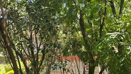 5BR All-Ensuite Townhouse + DSQ for Sale image 11