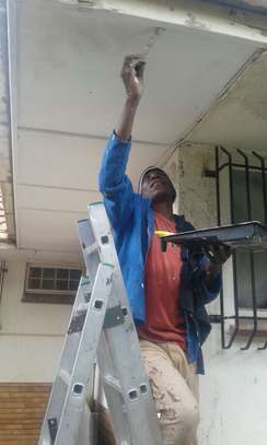 ROSSLYN GARDENING PLUMBING ELECTRICAL PAINTING REPAIRS image 5