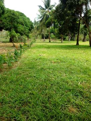 LAND FOR SALE ON THE CREEK. image 4