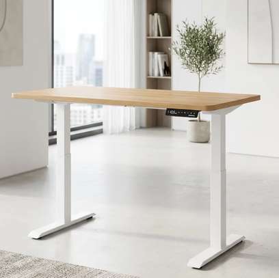 Standing Desks : Adjustable Electric Standing Desk image 2