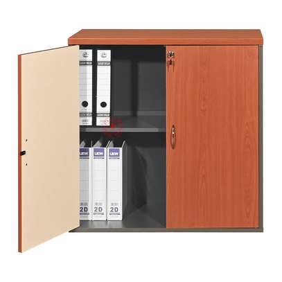 2 Door Lockbale Credenza Cabinet image 4