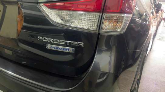 SUBARU SKE E BOXER AWD 2018model image 3