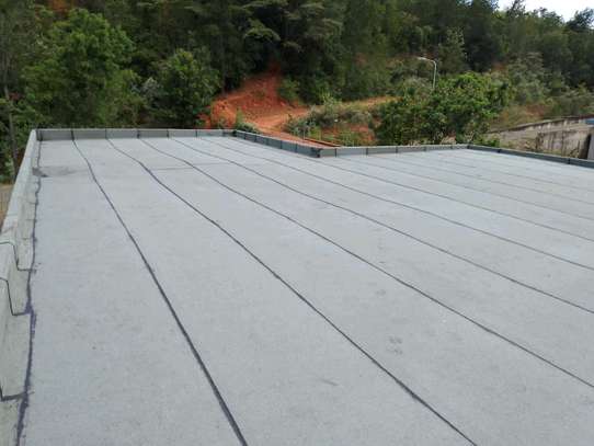 APP Membrane for rooftop for commercial buildings image 3