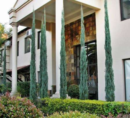 Nakuru Plumbing, Electrical,Painting & Domestic workers image 5