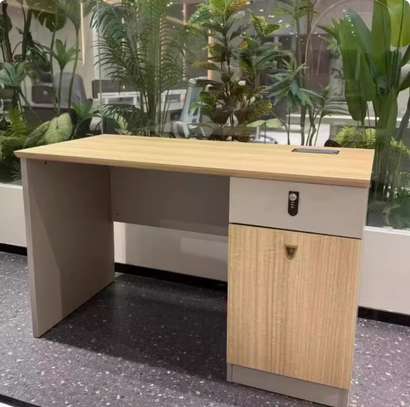 Office Desk: 1.2m Executive Office Desk In Suneka image 9