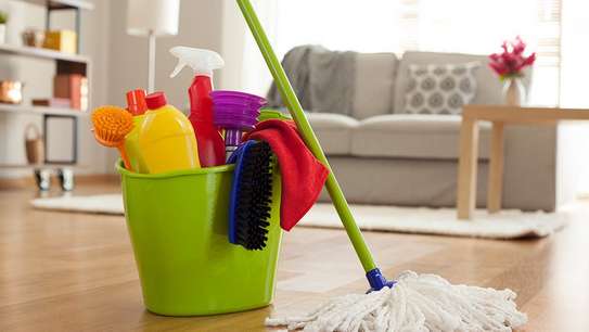 House Managers, Housekeepers, Chefs/Cooks, Estate Managers, Butlers, Chauffeurs/Drivers, Cleaners & Garden Services in Nairobi. image 15