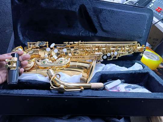 Saxophone Alto Doré Brillant avec Étui et Accessoires image 2
