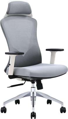 Orthopedic High-Back  Office Seat image 2