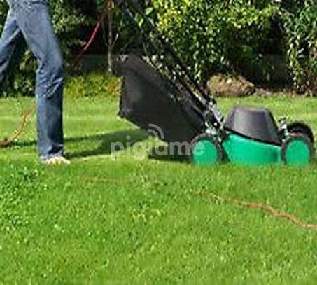 Landscaping & Grounds Maintenance Services in Kitengela image 8
