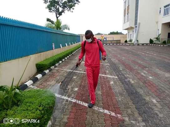 Pest Control and Fumigation Services Lucky Summer image 3