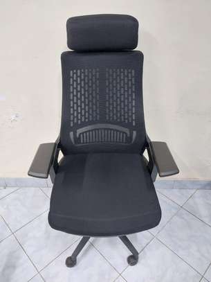 Lama orthopedi executive office chair image 2