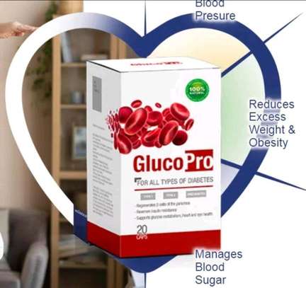 Gluco Pro Diabetes Supplement image 3