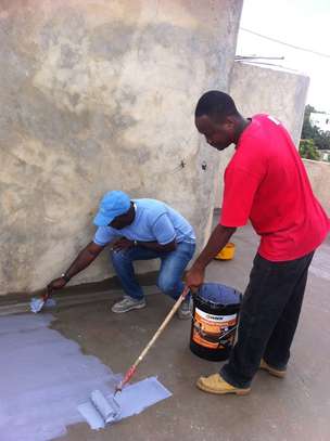 House Cleaning & Handyman Services | Nakuru image 12