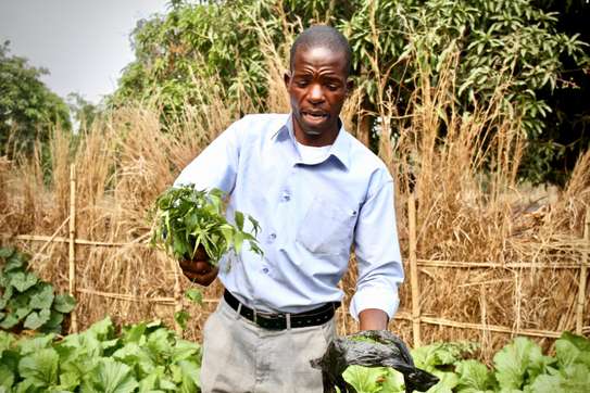 Professional Gardeners for Hire in Thika Town | Call Now image 7
