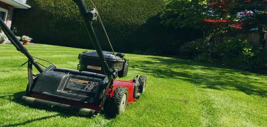 Professional Gardeners for Hire in Ruiru Nairobi image 4