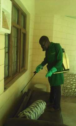 Pest Control and Fumigation Services Gigiri image 2