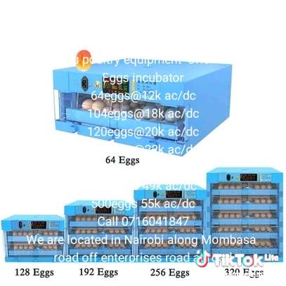 64 eggs incubator image 8