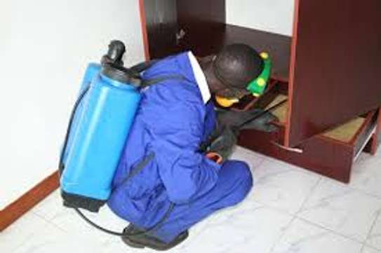 Kikuyu Pest & Fumigation Experts |  Bestcare FM image 7