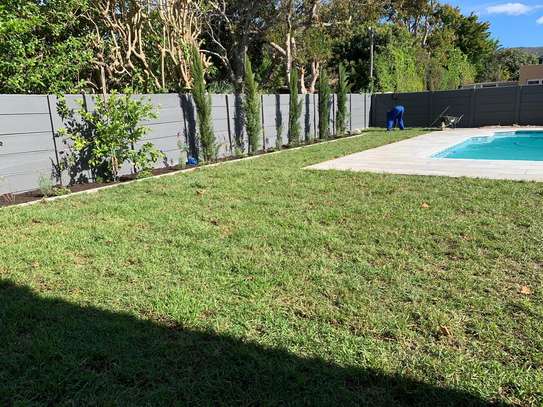 Expert Lawn Mowing & Garden Maintenance Limuru Tigoni image 3