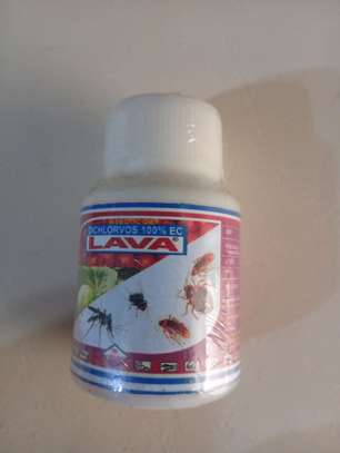Lava insecticide image 3