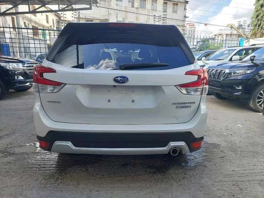 Subaru forester X- boxer  2018 model white image 14