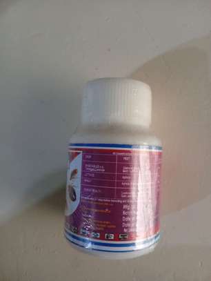 Lava insecticide image 2