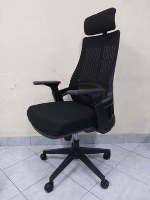 Lama orthopedi executive office chair image 5