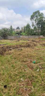 Quality  land selling 1/2 acre thome stream Drive. image 3