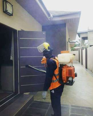 Pest Control and Fumigation Services at Dohnholm image 4