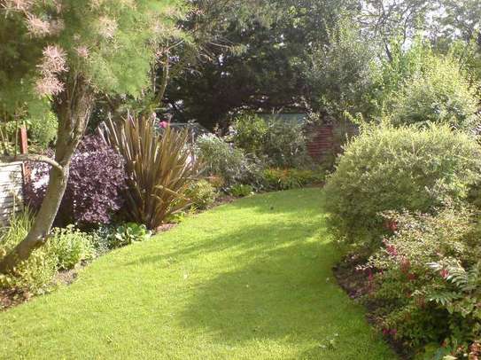 Landscaping & Gardening Services Kitisuru image 11