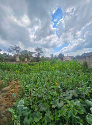 Residential Land in Runda image 6
