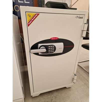 122KGS Diplomat Fireproof Safe image 2