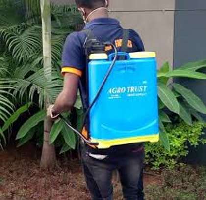 Kikuyu Pest & Fumigation Experts |  Bestcare FM image 6