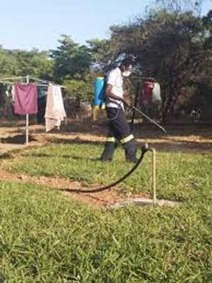 CHEAP Bed Bug Fumigation Services in Kiambu,Thika,Limuru image 15