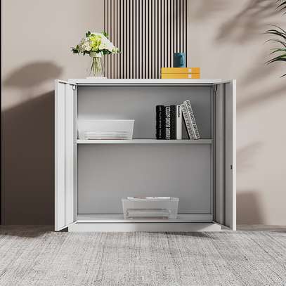 Office Cabinet: 2-Door Office Cabinet In Gesima image 5